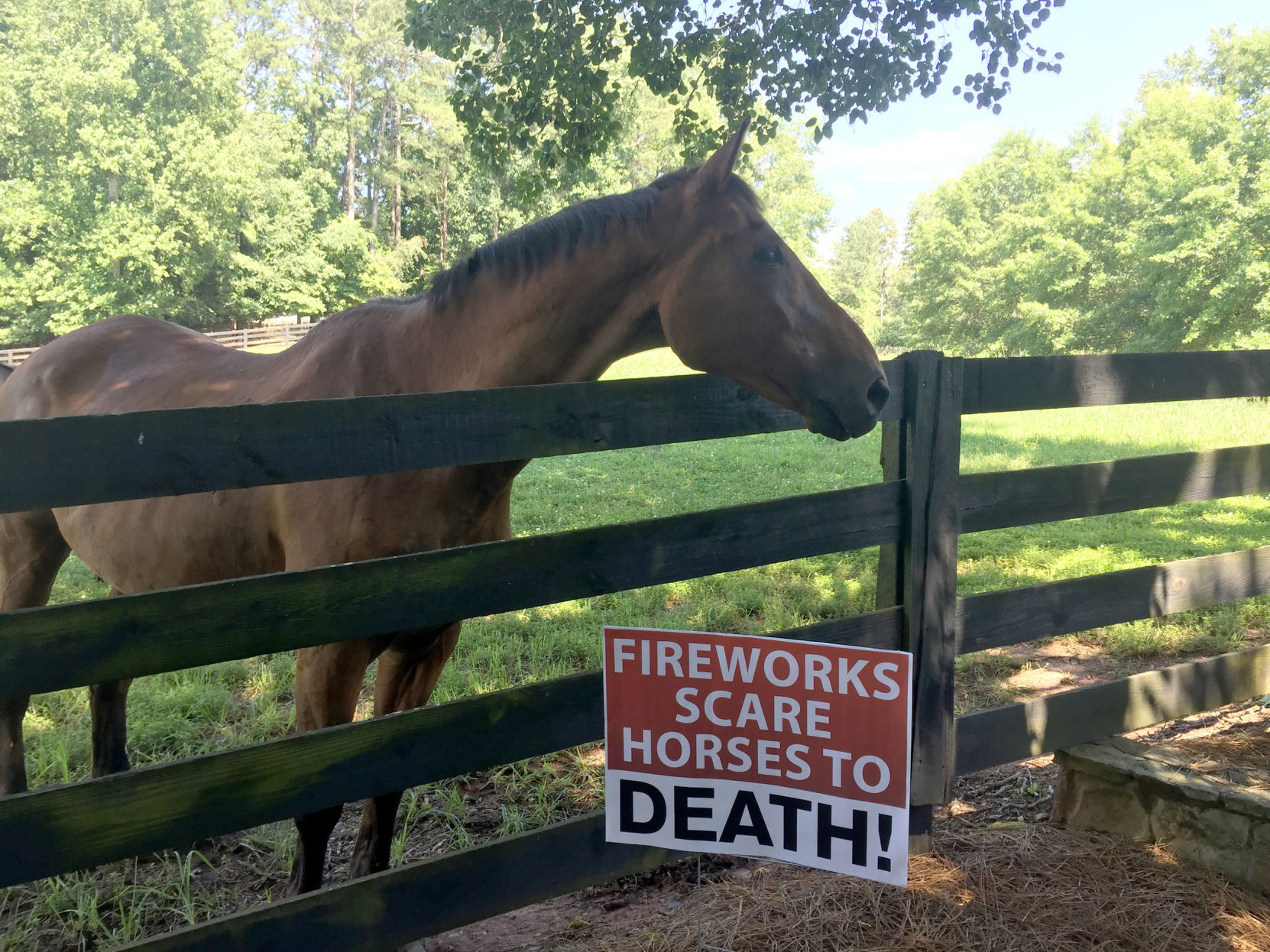 Milton horse owners concerned over July 4 fireworks (copy)